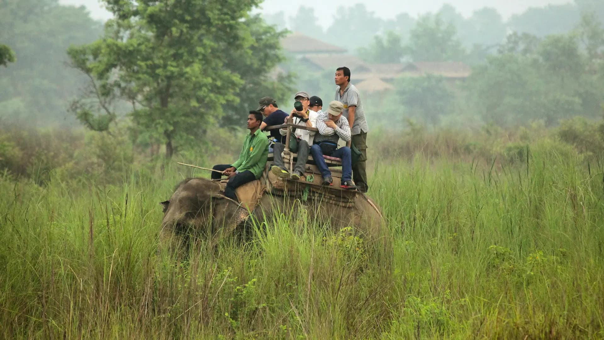 Chitwan National Park Safari Tour - 3 Night 4 Days