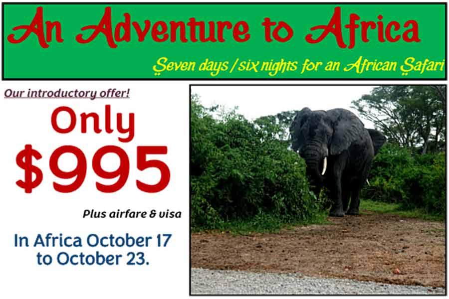 An Adventure to Africa