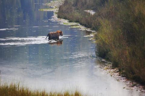 Bardia National Park Tour