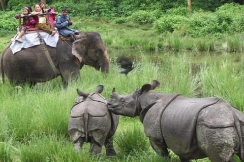 Chitwan National Park Tour-III