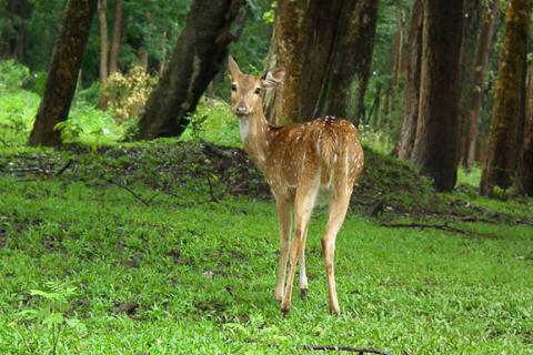 Nagarjun Hiking