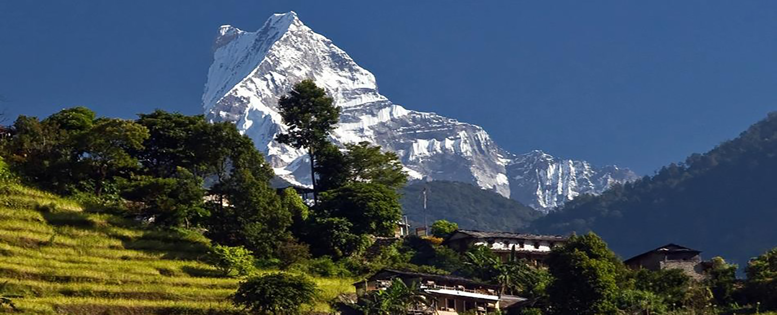 Ghorepani Poonhill Trek