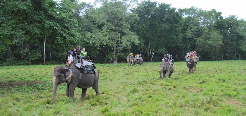 Elephant Ride 