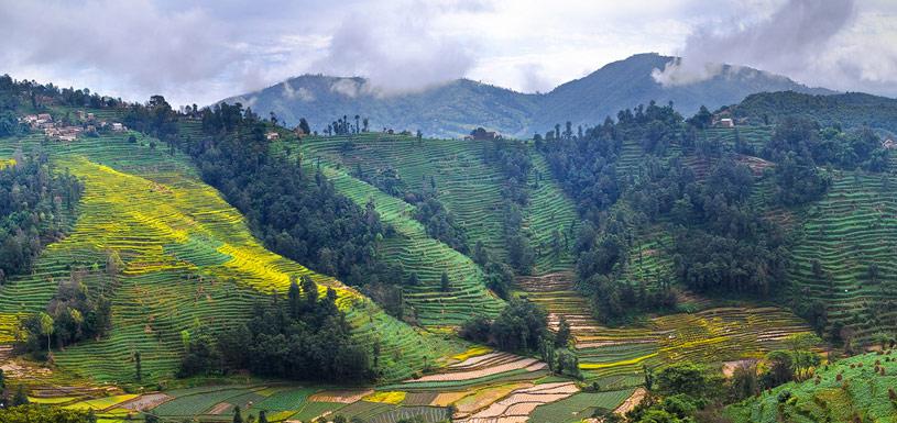 Terraced farmland at Nagarkot