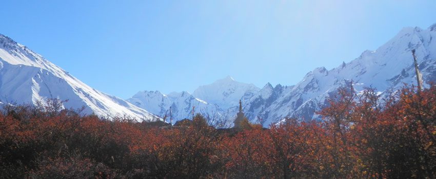 Langtang Region